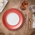 Villeroy & Boch Manufacture Glow 11.5" Dinner Plate Porcelain China/Ceramic in Gray/Red | Wayfair 1042622620