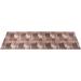 Brown/White 23 x 0.3 in Area Rug - Winston Porter Slip Resistant No Pile Light Weight Nature Inspired Printed Area Rug Polyester | Wayfair