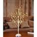 The Holiday Aisle® Starlit LED Bonsai Tree 210 Light Lighted Trees & Branches in White | 36 H x 12 W x 12 D in | Wayfair