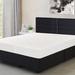 Freeport Park® Benita Fitted Mattress cover Polyester | 80 H x 78 W in | Wayfair 186D382146C942049E6AC97A11012931