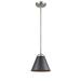 Innovations Lighting Bruno Marashlian Appalachian 8 Inch Mini Pendant - 284-1S-SN-M13-BK