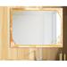East Urban Home Gold & Pink Frame 20 - Glam Mirror - Modern Wall Mirror Metal | 32 H x 24 W x 0.24 D in | Wayfair 0BFC730390D3498B9AAF92D9DC6F5492