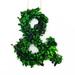 Primrue Adamsville Real Preserved Boxwood Monogram Letter & Tree in Planter | 13 H x 4.5 W x 3 D in | Wayfair POTTEDBOXWOOD-&