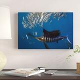 East Urban Home 'Atlantic Sailfish Hunting Round Sardinella, Isla Mujeres, Mexico' Photographic Print on Wrapped Canvas in Blue/Gray | Wayfair