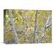 East Urban Home Snow-covered Aspen Forest Near Kebbler Pass, Gunnison National Forest, Colorado by Tim Fitzharris - Print on Canvas in Green | Wayfair