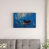 East Urban Home 'Atlantic Sailfish Hunting Round Sardinella, Isla Mujeres, Mexico' Photographic Print on Wrapped Canvas in Blue/Gray | Wayfair