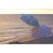 Breakwater Bay Youngsville 66" Beach Umbrella Metal in Blue/Navy | Wayfair 979BE9BB7D4E49C298C021CFF8AF4419