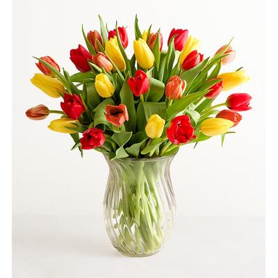 1-800-Flowers Seasonal Gift Delivery Our Favorite Fall Tulips 30 Stems W/ Clear Vase