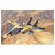 Hobby Boss 081771 1/48 F-14A Tomcat, Persian Cat Modellbausatz, verschieden