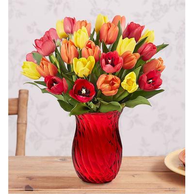 1-800-Flowers Seasonal Gift Delivery Assorted Fall Tulips 30 Stems W/ Red Vase