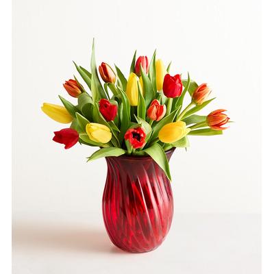 1-800-Flowers Seasonal Gift Delivery Our Favorite Fall Tulips 15 Stems W/ Red Vase