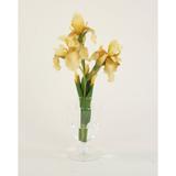 Primrue Bearded Iris Floral Arrangement in Glass Vase Silk | 20 H x 10 W x 8 D in | Wayfair 16081