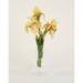 Primrue Bearded Iris Floral Arrangement in Glass Vase Silk | 20 H x 10 W x 8 D in | Wayfair 16081