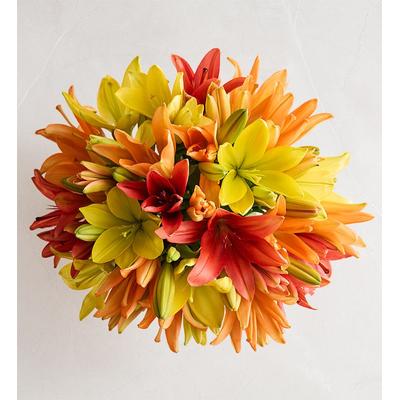 1-800-Flowers Seasonal Gift Delivery Autumn Lily Bouquet + Free Vase Double Bouquet Only
