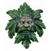 World Menagerie Enigma Celtic man Face Wall Décor in Green | 17 H x 14 W x 4.5 D in | Wayfair 1DFEA35A080A498CA75D572E69B1A664