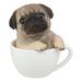 August Grove® Holdenville Realistic Adorable Pug Dog Teacup Figurine Resin in Brown/Gray | 5.5 H x 5.25 W x 4.25 D in | Wayfair