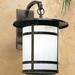 Red Barrel Studio® Arinze 1-Light Outdoor Wall Lantern Glass in Black | 14.63 H x 11 W x 15 D in | Wayfair C2C77FA9CD614090B4F2664224DA8DBF