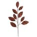 Vickerman 638033 - 29" Mocha Glitter Leaf Spray (6 pack) (QG191876)