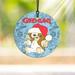 Trend Setters Gremlins Gizmo Christmas Hat Hanging Circle Decoration Glass | 3.5 H x 3.5 W x 0.25 D in | Wayfair SPCIR884