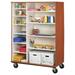 Stevens ID Systems Mobile 12 Compartment Classroom Cabinet Wood in Brown | 67 H x 48 W x 24 D in | Wayfair 80184 Z67-024