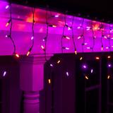 The Holiday Aisle® LED Halloween Icicle Lights in Black/Orange | 96 W in | Wayfair ICE-LED-M5-70-AMB/PUR-L4-D6-S3-T4-BLKW