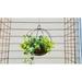 Gracie Oaks Hayhurst Hanging Planter Metal | 27 H x 14 W x 14 D in | Wayfair C267D189C9C04D87B2DF91EF0500BBC7