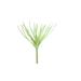 Wrought Studio™ Tillandsia Succulent Silk/Plastic | 10 H x 8 W x 8 D in | Wayfair 4C688F6F4DF14FBEBE5B9AD17F54142D