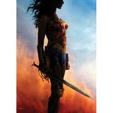 MightyPrint Wonder Woman Power Grace Wisdom Wonder Wall Décor | 24 H x 17 W x 0.2 D in | Wayfair MP17240301