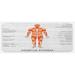 Orange 0.1 x 19 x 47 in Kitchen Mat - East Urban Home Human Anatomy Kitchen Mat, Polyester | 0.1 H x 19 W x 47 D in | Wayfair