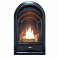 ProCom Heating Arched Door Vent Free Propane/Natural Gas Fireplace Insert, Ceramic in White | 27.7 H x 16 W x 10.75 D in | Wayfair PCS100T