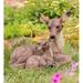 Wind & Weather Mother Deer & Fawn Garden Statue Resin/Plastic in Brown | 13.75 H x 9.75 W x 16.5 D in | Wayfair GO8167