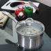 Chantal Stainless Steel Saucepan w/ Lid Non Stick/Stainless Steel in Gray | 6.5 H x 13.5 W in | Wayfair SLIN35-162C
