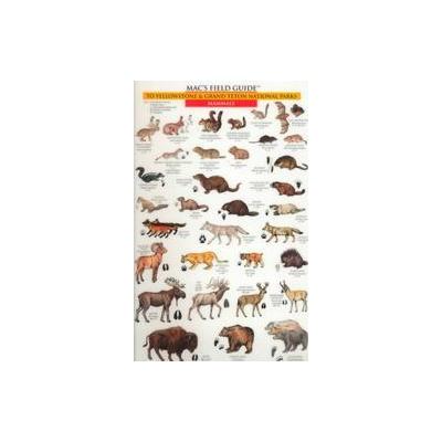 Mac's Field Guide to Yellowstone and Grand Teton National Parks - Birds & Mammals (Paperback - Mount