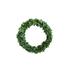 Gracie Oaks Preserved Boxwood 10" Wreath in Green | 10 H x 10 W x 2 D in | Wayfair 6E37898489C042D3BBEDF1117ED0C790