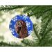 The Holiday Aisle® Boykin Spaniel Winter Snowflakes Hanging Figurine Ornament Ceramic/Porcelain in Blue/Brown | 3 H x 3 W x 0.25 D in | Wayfair