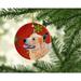 The Holiday Aisle® Australian Cattle Dog Snowflake Holiday Christmas Hanging Figurine Ornament /Porcelain in Brown/Red | Wayfair