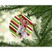 The Holiday Aisle® Wire Fox Terrier Christmas Hanging Figurine Ornament Ceramic/Porcelain in Blue/Green/Red | 3 H x 3 W x 0.25 D in | Wayfair