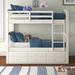 Harriet Bee Baczanski Twin Over Twin 3 Drawer Solid Wood Standard Bunk Bed w/ Trundle Wood/Solid Wood in White | 75.25 H x 40 W x 75 D in | Wayfair