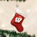 Old World Christmas NCAA Stocking Hanging Figurine Ornament Glass in Red | 5 H x 3 W x 1.25 D in | Wayfair 60808