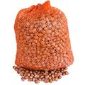 Raw Hazelnuts in Shell | 10 kg | from Poland | Premium