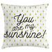 East Urban Home You are my Sunshine Indoor/Outdoor 36" Throw Pillow Cover Polyester | 36 H x 36 W x 0.1 D in | Wayfair