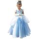 Cinderella Dress Princess Costume Halloween Fancy Party Dress up Outfit Cosplay Dresses, Cinderella Blue, 8-9 Years