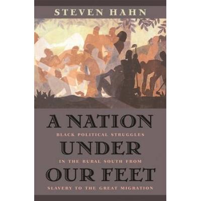 A Nation Under Our Feet: Black Political Struggles In The Rural South From Slavery To The Great Migration