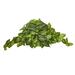 Winston Porter 13" Artificial Foliage Plant Silk/Plastic | 13 H x 36 W x 8 D in | Wayfair D9D3508FBDC04047AA5AF752D695D3AB