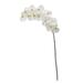 Beachcrest Home™ Phalaenopsis Artificial Orchid Stem Polyester/Faux Silk/Plastic/Fabric | 44 H x 8 W x 2 D in | Wayfair