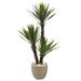 Primrue Artificial Yucca Tree in Planter Silk/Ceramic/Plastic | 56 H x 20 W x 20 D in | Wayfair 57BA269E9AFF40B7B34FFC8C6E2C4F81