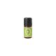 Primavera - Wintergrün Bio Raumdüfte 5 ml Damen