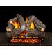 American Gas Log Aspen Whisper Vented Natural Gas/Propane Fireplace Log Set in White | 20 H x 42 W x 16 D in | Wayfair AS-30--PSS101RR-S-DBL