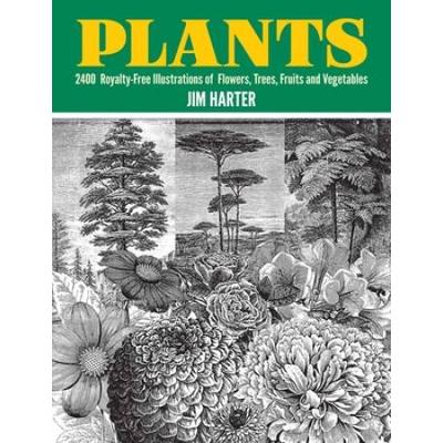 Plants: 2,400 Royalty-Free Illustrations Of Flower...