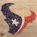 Houston Texans Team Pride String Art Craft Kit